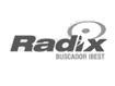 Ícone da Radix
